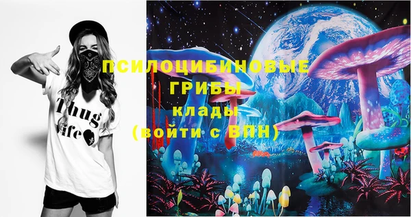 эйфоретик Богданович