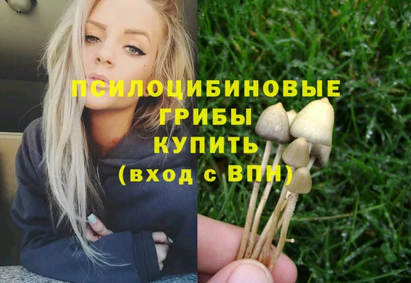 гашишное масло Богородицк