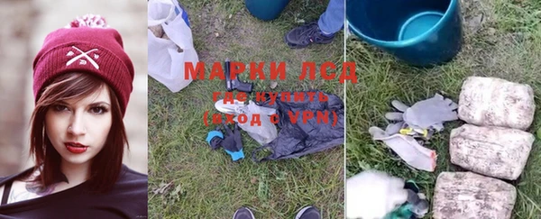 эйфоретик Богданович