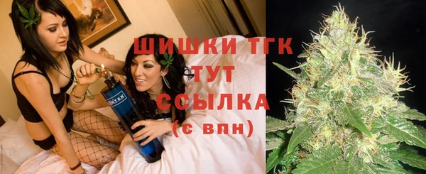 эйфоретик Богданович