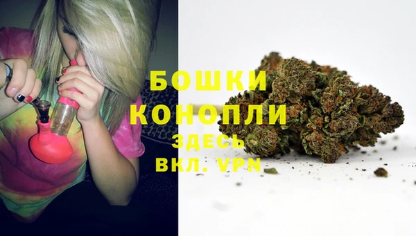 эйфоретик Богданович